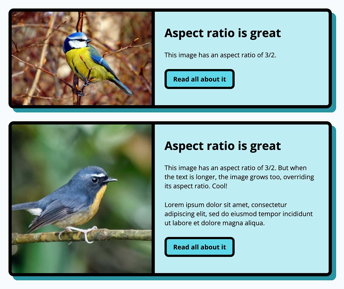 Background Image Css Aspect Ratio