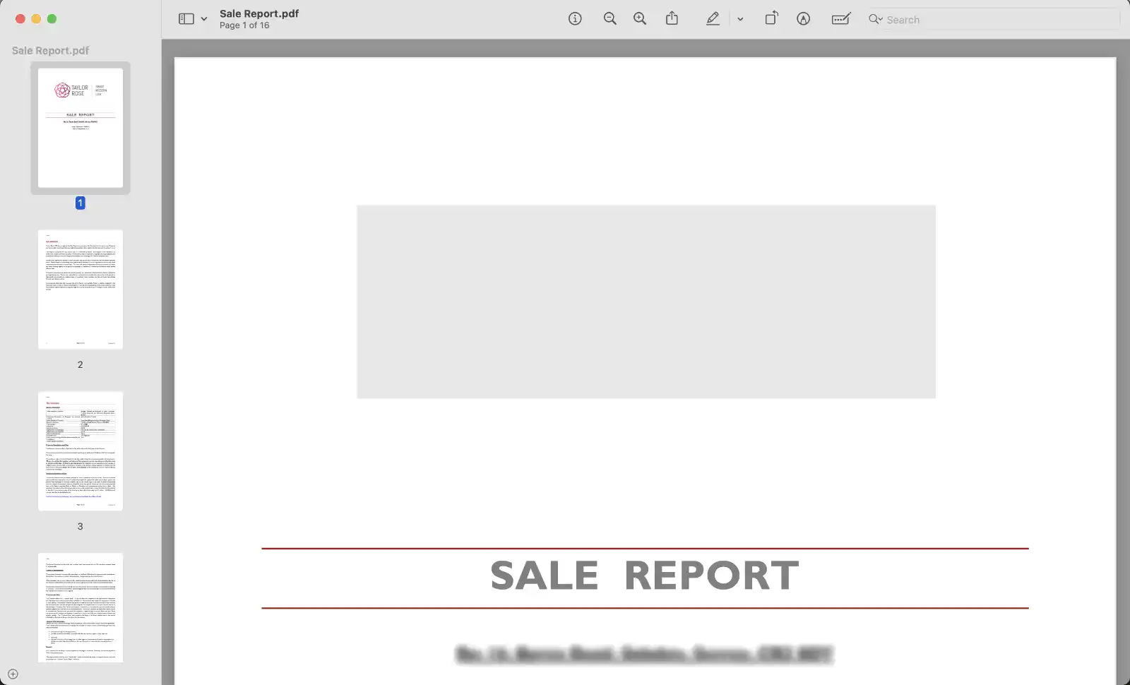 Screenshot of the Preview UI”