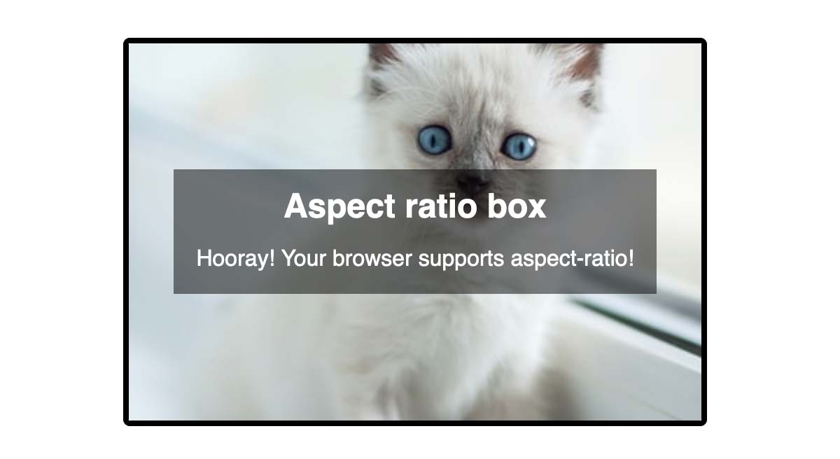 Aspect ratio box with a kitten image background